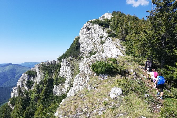 Day Hike PRIVATE - Piatra Craiului National Park - Walking through Piatra Craiului National Park