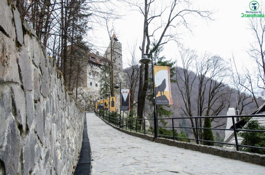 Day trip Bran Castle, Rasnov Fortress and Bear Sanctuary - Key points at a glance