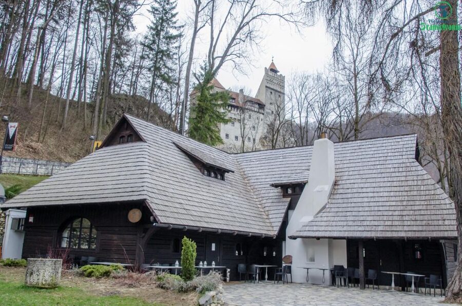 Day trip Bran Castle, Rasnov Fortress and Bear Sanctuary - Should you book it?