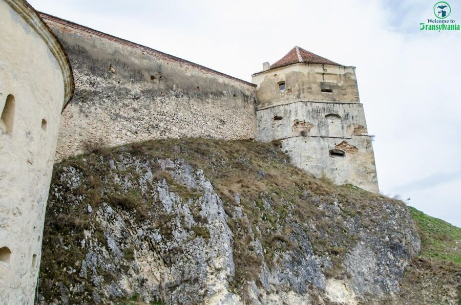 Day trip Bran Castle, Rasnov Fortress and Bear Sanctuary - What $49 really gets you