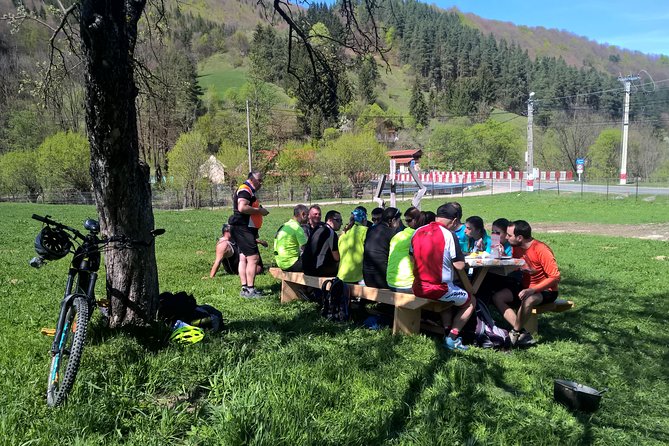 Day trip from Brasov: Bison reserve & traditional lunch - Booking, cancellation, and practical details