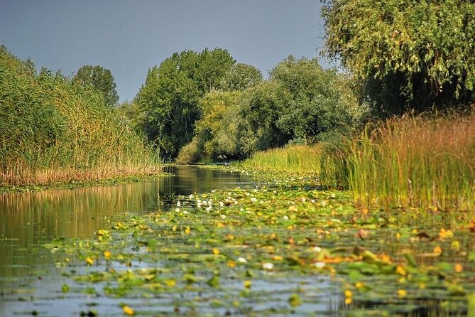 Day Trip from Bucharest to Danube Delta - Why the Danube Delta is worth the long ride