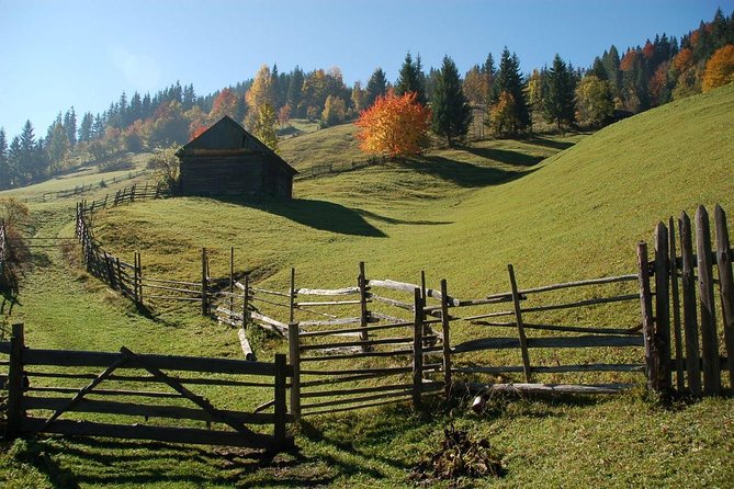 Day trip on Quad ATV - Transylvanian outdoor adventure - The guides and the feel of a small group