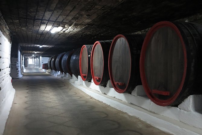 Day trip to Republic of Moldova - visit Chisinau and Cricova Winery - What the guides add to the experience