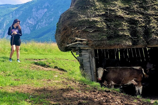 Discover Apuseni Mountains - Scarita Summit,Sipote Waterfall and Dumesti Village - Reaching Scarita Summit at 1,384 meters