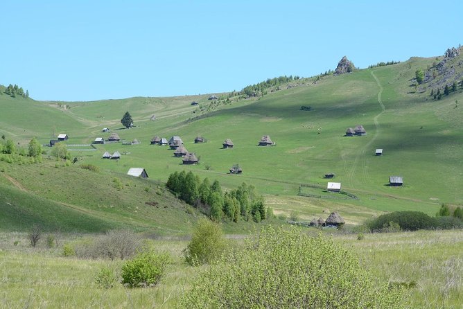 Discover Apuseni Mountains - Scarita Summit,Sipote Waterfall and Dumesti Village - Wildflowers, mushrooms, and the value of a guide