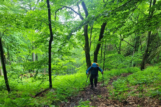 Discover Apuseni Mountains - Scarita Summit,Sipote Waterfall and Dumesti Village - Sipote Waterfall and Dumesti Village after the summit