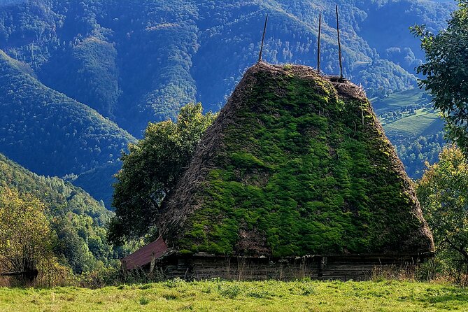 Discover Apuseni Mountains - Scarita Summit,Sipote Waterfall and Dumesti Village - Limestone cliffs and abandoned wood hovels