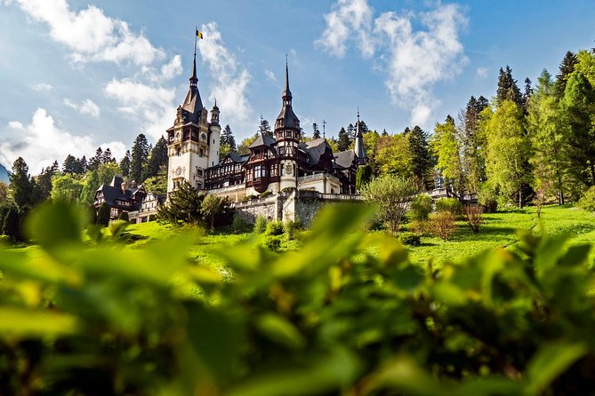 DRACULA CITY BREAK Bran Castle, Peles Castle Sinaia, Brasov City - Day three: airport transfer and the bear sanctuary option