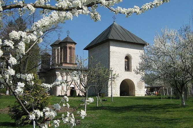 Dracula's Tomb and Mogosoaia Palace, Private Tour from Bucharest - What the private format is worth
