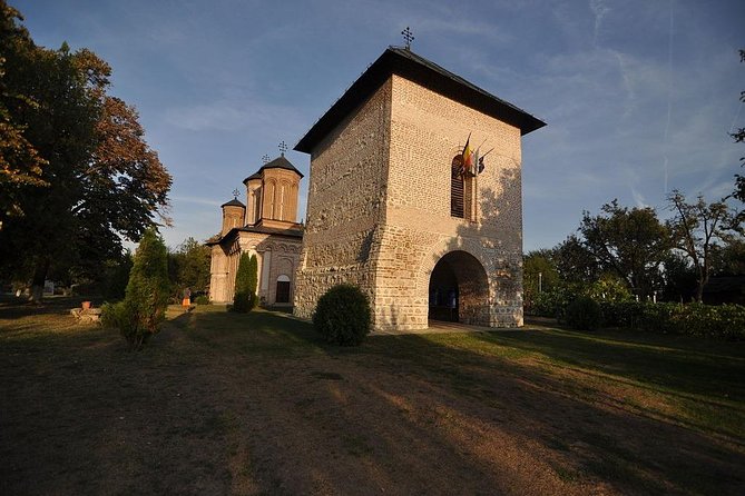 Dracula's Tomb and Mogosoaia Palace, Private Tour from Bucharest - Who will enjoy this outing most