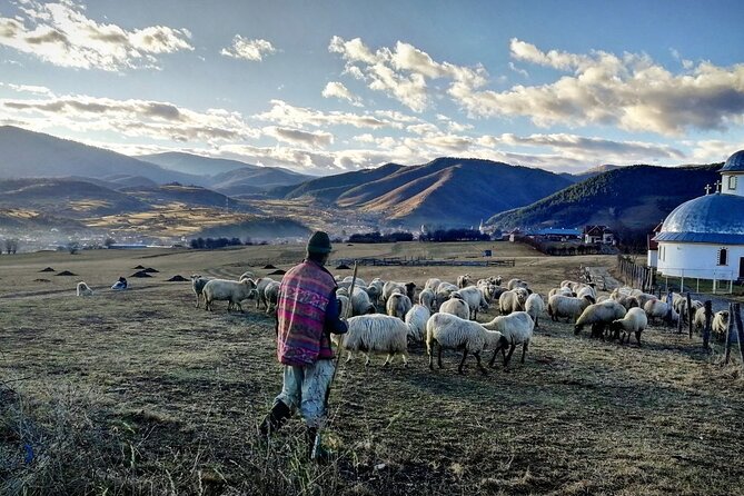 Exclusive Tour: Corvin Castle, Alba Iulia and traditional villages from Sibiu - Sibiel and the road through traditional villages
