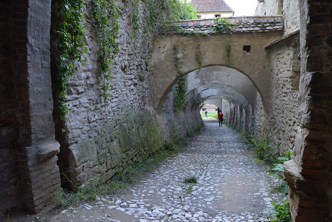 Exclusive tour: Sighisoara, Medias and Biertan tour from Sibiu - Biertan and the fortress church with three walls