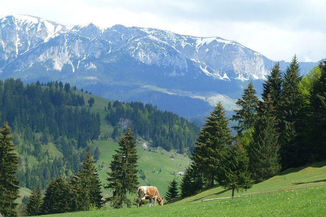 Excursión en Moeciu de Sus (recomendado para familias) con guía español nativo. - Starting at the Ranger Chalet at 10 a.m.