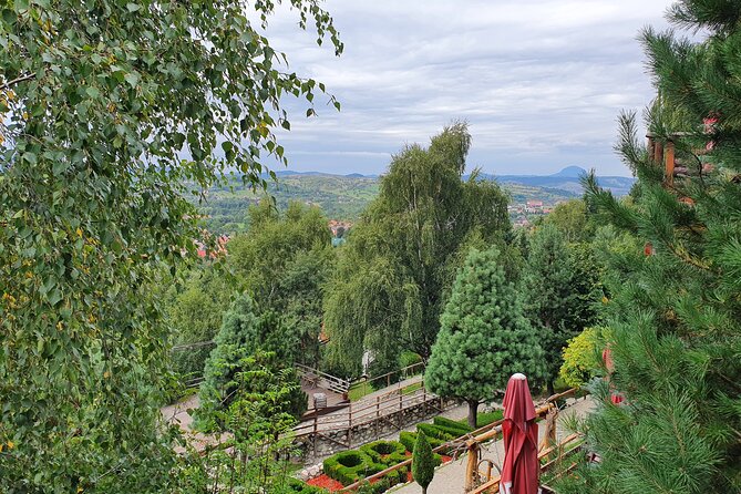 Executive Dracula Day Trip - See Bran & Peles Castle, Brasov from Bucharest - What the private vehicle and guide add