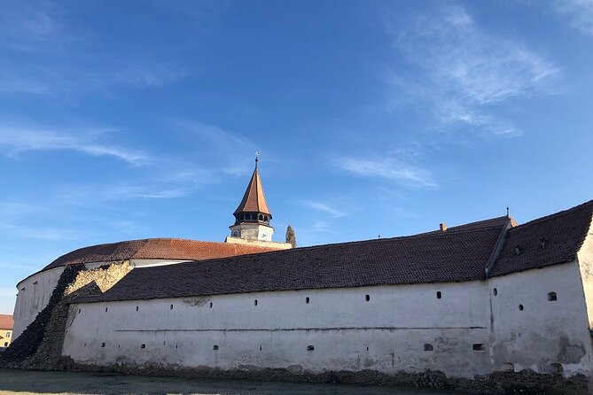 Experience the History of Bran Castle and Saxon Fortifications in Burzenland - Harman’s basilica, moat, and old paintings
