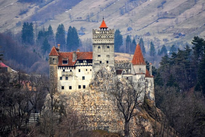 Explore Transylvania: Dracula, Peles Castle & Brasov Private Tour - Bran Castle: Dracula, walls, and crowded expectations