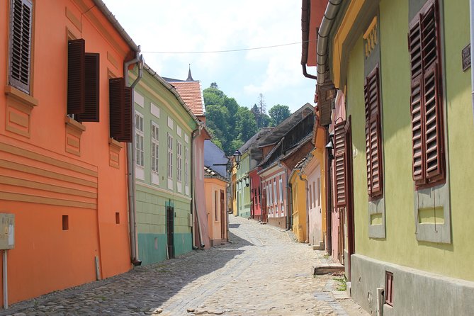 Fortified Church of Viscri and Sighisoara in Spanish (native Spanish guide). - Viscri’s fortified church and village setting