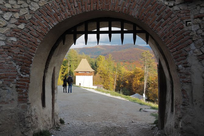 From Brasov: Discover Bran Castle and Râșnov Fortress - Price, group size, and what you really pay