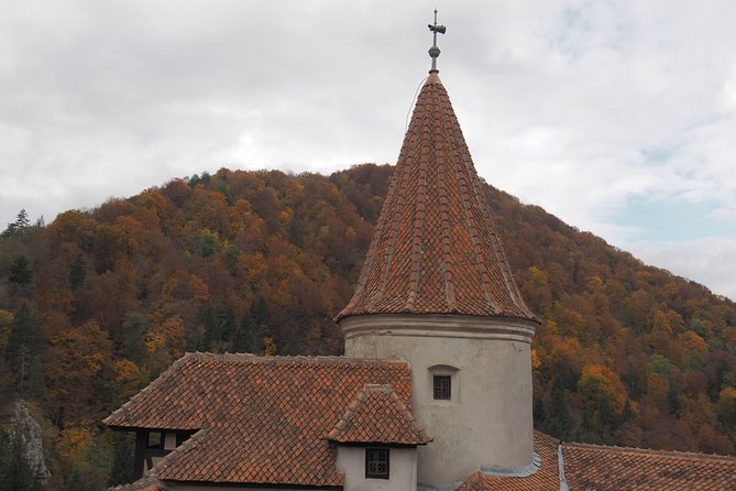 From Brasov: Discover Bran Castle and Râșnov Fortress - Râșnov Fortress: views instead of a full citadel visit