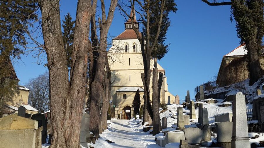 From Brasov: Guided Sighisoara and Sibiu Private Day Trip - The contrast between the two towns