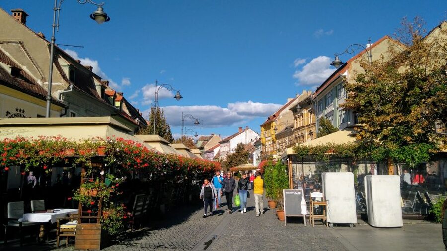 From Brasov: Guided Sighisoara and Sibiu Private Day Trip - Guide quality and the small details that matter