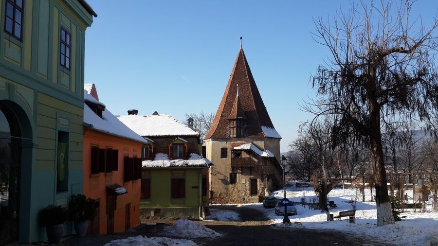 From Brasov: Guided Sighisoara and Sibiu Private Day Trip - Who will enjoy this trip most