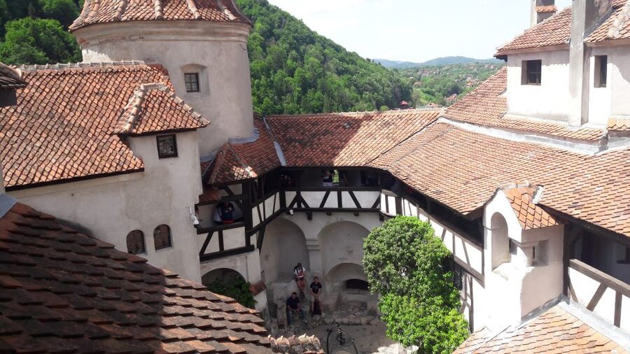 From Brasov: Peles Castle, Bran Castle & Cantacuzino Castle - Cantacuzino Castle and the Wednesday connection