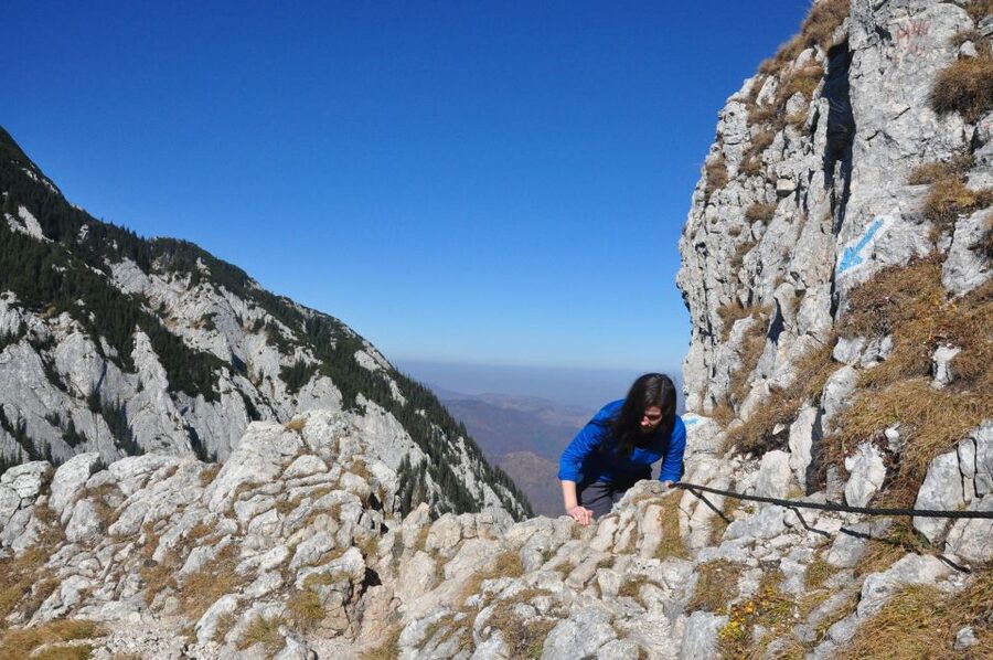 From Brasov: Piatra Craiului National Park Private Day Tour - Key things to know before you go