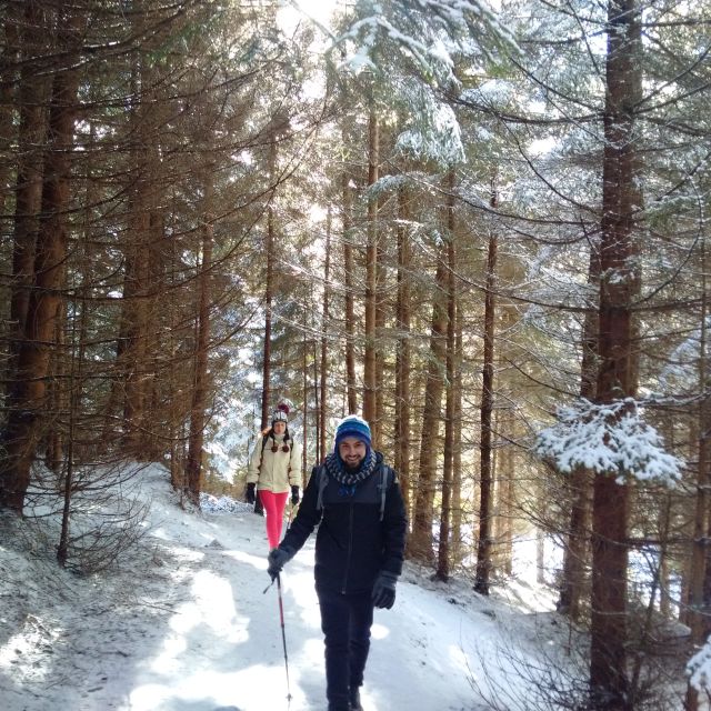 From Brasov: Piatra Craiului National Park Private Day Tour - Zărnești Gorge and the forest trail