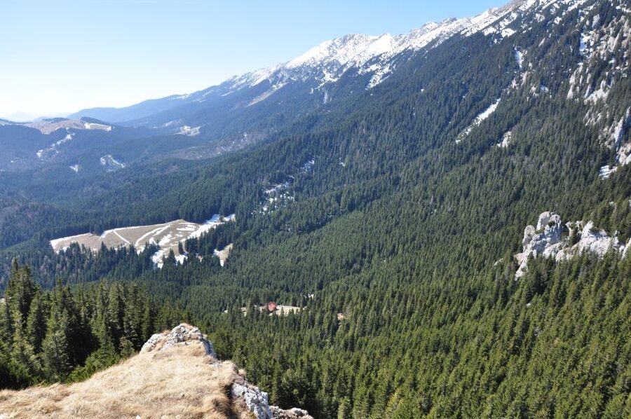 From Brasov: Piatra Craiului National Park Private Day Tour - Villages, shepherds, and cheese-making