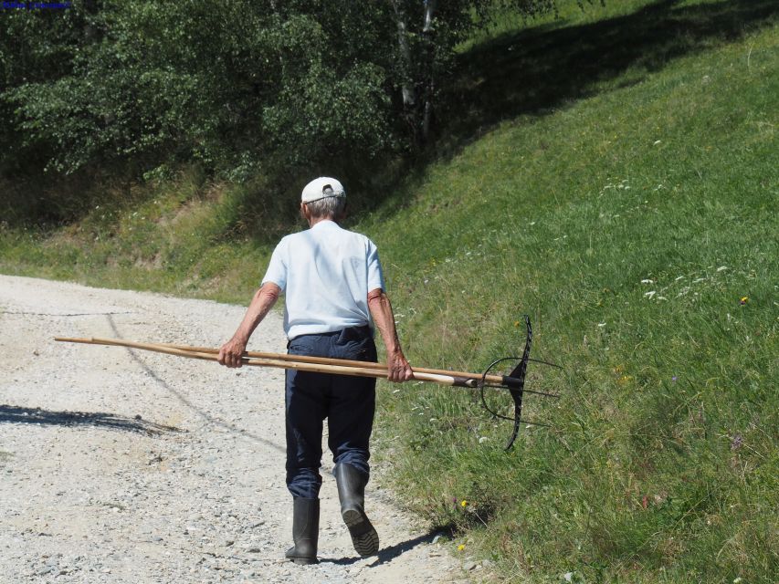 From Brasov: Romanian Mountain Villages Day Tour - What Makes This Tour Worth Your Day