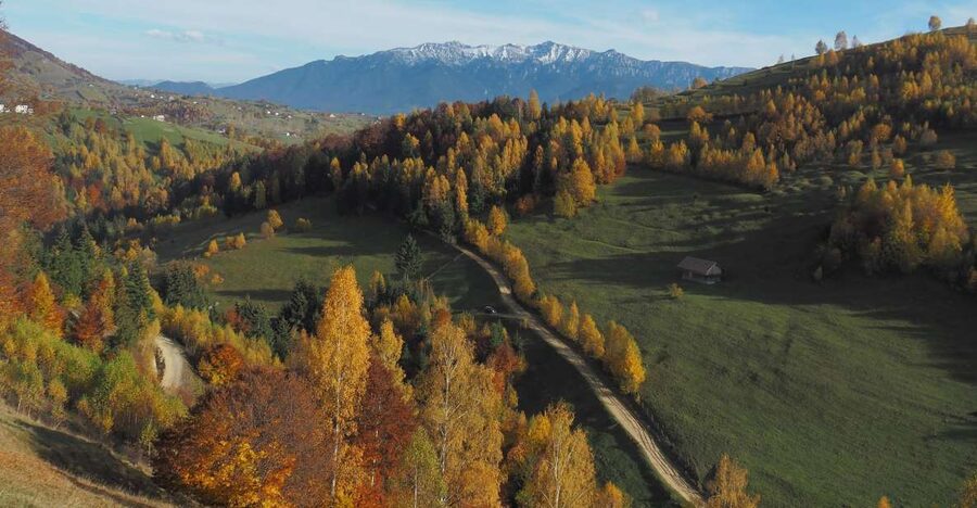 From Brasov: Romanian Mountain Villages Day Tour - Leaving Brașov for Piatra Craiului