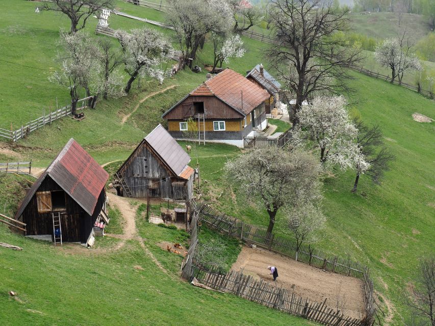From Brasov: Romanian Mountain Villages Day Tour - Inside the Bat Cave