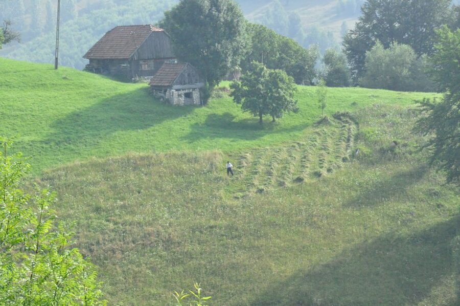 From Brasov: Romanian Mountain Villages Day Tour - The 3 to 4 Hour Mountain Trek