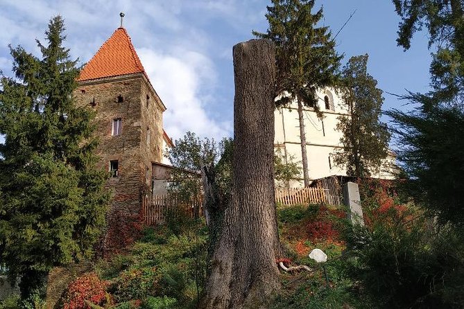 From Brasov: Sighisoara and Sibiu with Hotel Pick up and Drop off - What the private guide adds