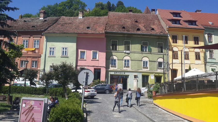 From Brasov: Sighisoara and Viscri UNESCO Day Tour - Who should book this day trip?