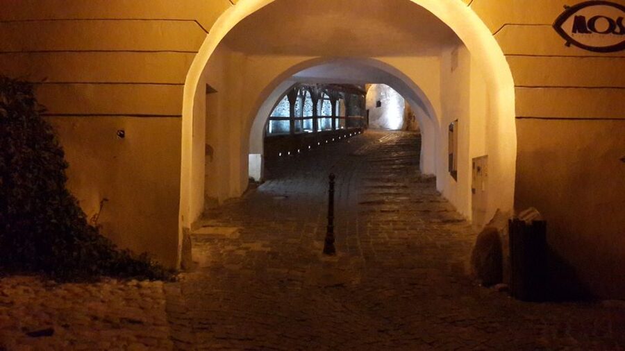 From Brasov: Sighisoara and Viscri UNESCO Day Tour - Is $106 good value?