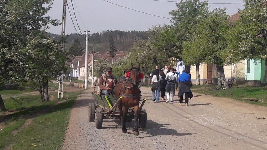 From Brasov: Sighisoara, Viscri, and Rupea Unesco Day Trip - Transport, timing, and the real value of $138