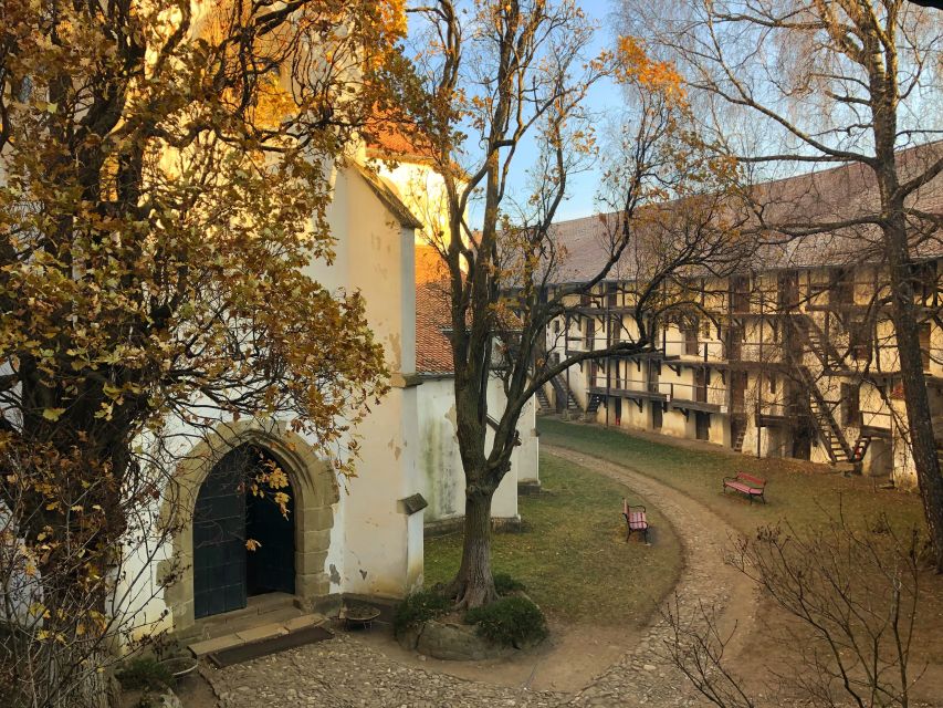 From Brasov: Small-Group Half-Day Fortified Churches Tour - Prejmer and its 14-meter walls