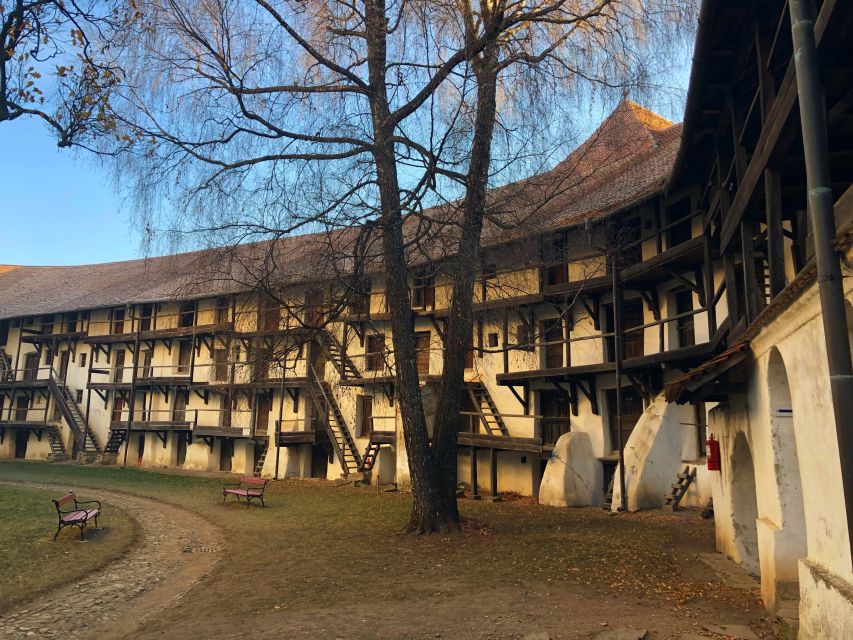 From Brasov: Small-Group Half-Day Fortified Churches Tour - Who should book this half-day tour?