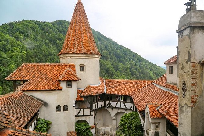 From Brasov: Small-group tour Bran, Rasnov, and Peles Castles - Timing, crowds, and the best day to go