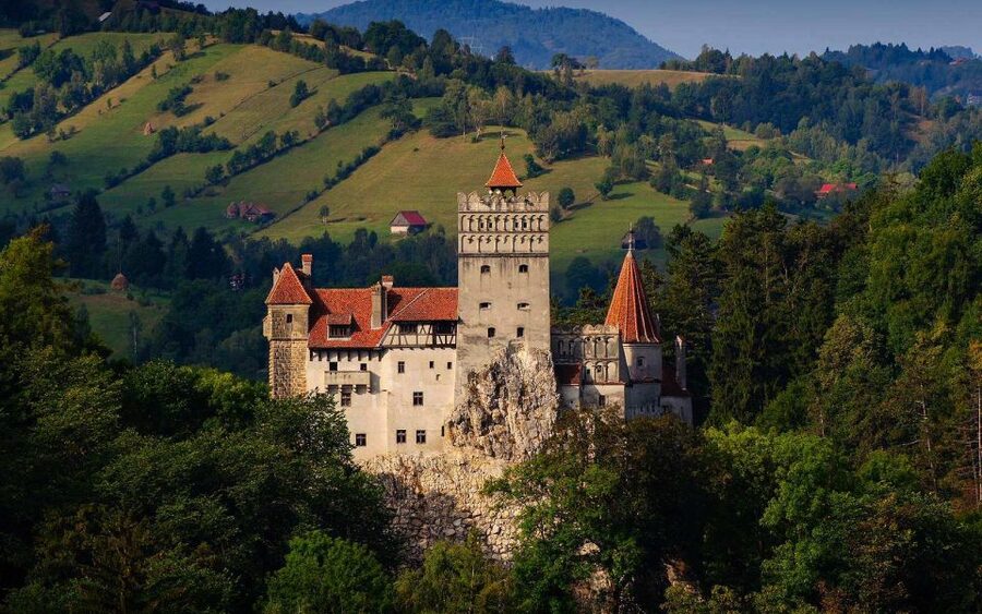 From Brasov: Tour of Castles and Surrounding Area - Who Should Book This Seven-Hour Trip