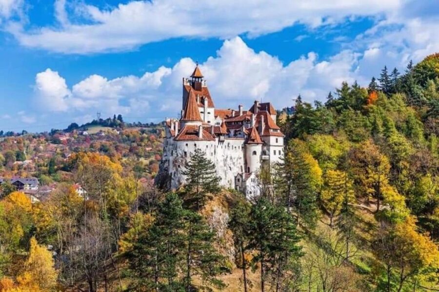 From Bucharest: 2-Day Tour to Brasov and Sighisoara - The guide can make or break the route