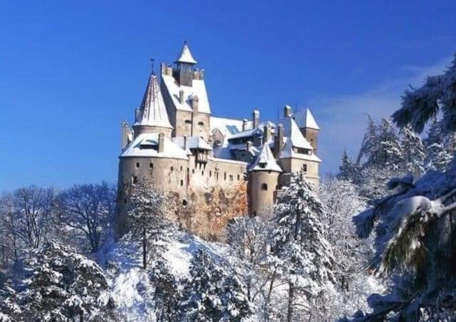 From Bucharest: 2-Day Tour to Brasov and Sighisoara - Who should book this tour?