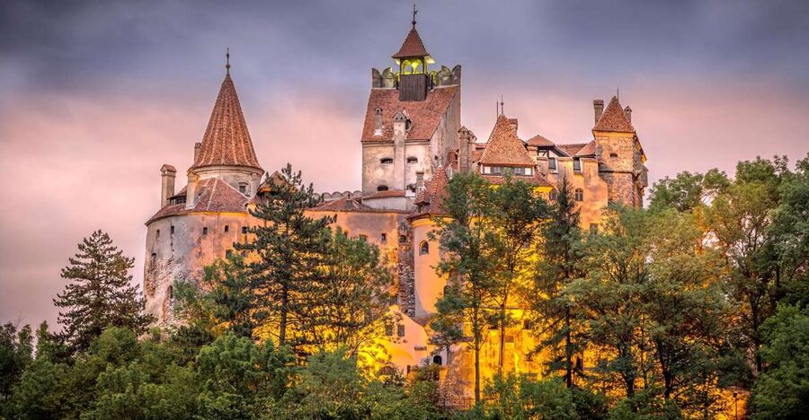 From Bucharest: A Taste of Transylvania: Private Tour - The guide can make or break the long drive