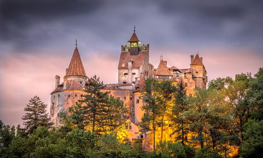 From Bucharest: A Taste of Transylvania: Private Tour - What to know before you reserve
