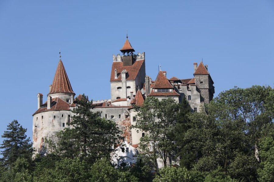 From Bucharest: Bear Sanctuary and Dracula Castle Day Tour - Who should book this experience