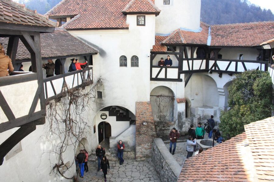 From Bucharest: Bear Sanctuary and Dracula Castle Day Tour - What to bring and how to prepare