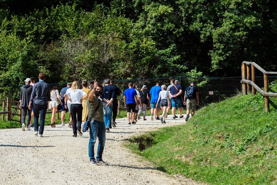 From Bucharest: Bear Sanctuary and Dracula Castle Day Tour - What you can expect at Bran Castle